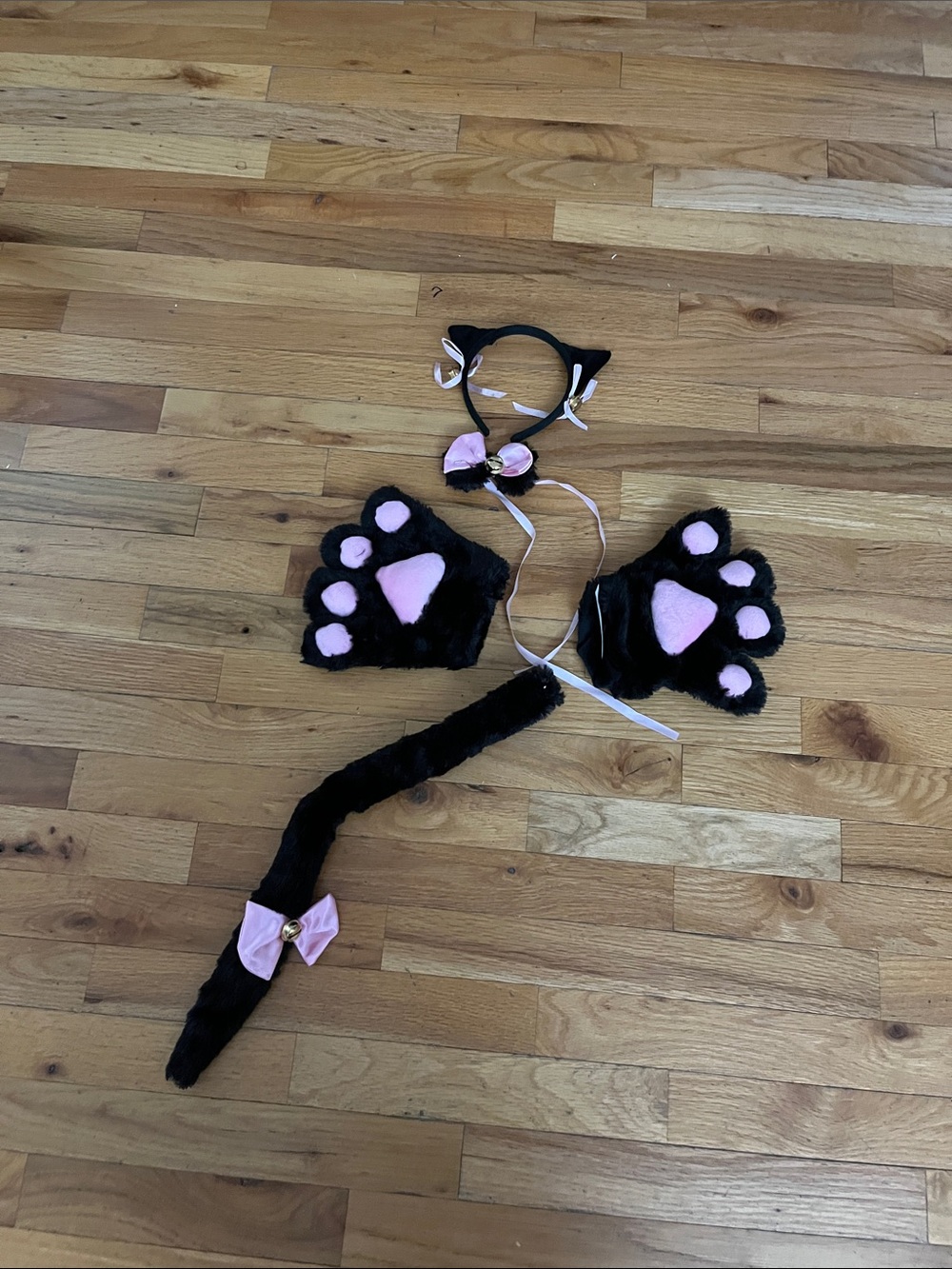 Cat costume accessories